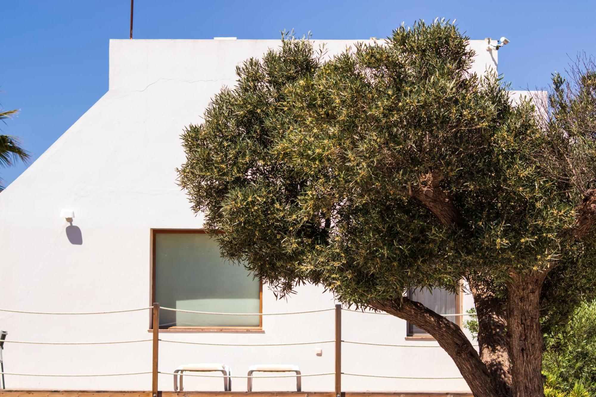 Oro Y Luz Aparthotel Rodalquilar Exterior photo